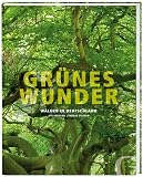 Produkt-Bild: Gr&uuml;nes Wunder: W&auml;lder in Deutschland