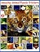 Amazing Animal Puzzle Stickers 2 (Amazing Animal Puzzle Stickers)