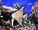Angel Fish - 3D Jigsaw Woodcraft Kit Wooden Puzzle