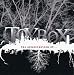 Toybox-The Assassination Of...