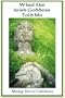 What the Irish Goddess Told Me