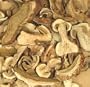 Porcini Mushrooms - Grade Super A