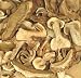 Porcini Mushrooms - Grade Super A