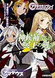 アマデウスリプレイ 神候補たちと冥王の剣 (2) (ドラゴンブック)