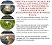 Book The Fantastic Make An Extra Income, Inner Game and eCommerce for Kayak Sports Equipment Web Businesses 3 CD Power Pack