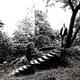 Timber Timbre ~ Timber Timbre