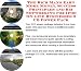 Book The Rich Man's Earn More Money, Success Principles and Biz Networking for Ipod On-line Businesses 3 CD Power Pack