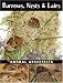 Burrows, Nests & Lairs: Animal Architects