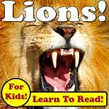 Lions! Learn About Lions While Learning To Read - Lion Photos And Facts Make It Easy! (Over 45+ Photos of Lions)