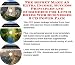 Search : The Secret Make An Extra Income, Success Principles and eCommerce for Lunch Boxes Web Businesses 3 CD Power Pack