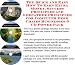 The Down and Dirty Earn More Money, Marketing and Inner Game for Computer Desk Chairs On-line Businesses 3 Course Pack
