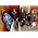 Vignette de Old 97's