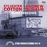 Blues Sensation: Detroit Downhome Recordings 1948-1949