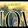 Artist Video