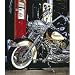 Harley Davidson: Pumping Iron 1000pc Jigsaw Puzzle