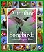 Audubon 365 Songbirds & Other Backyard Birds Calendar 2008 (Picture-A-Day Wall Calendars)