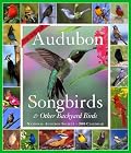 Audubon 365 Songbirds & Other Backyard Birds Calendar 2008 (Picture-A-Day Wall Calendars)