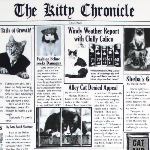 Timeless Treasures Fabrics 