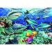 Ravensburger Reef Sharks 500 piece jigsaw puzzle