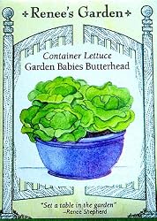 Container Lettuce Seeds Garden Babies Butterhead 1500 Seeds