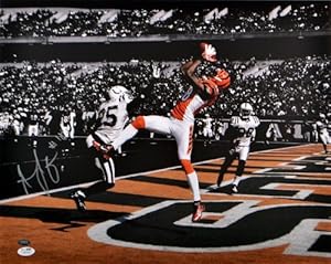 A.J. Green Signed Photo - 16x20 - SM - JSA Certified - Autographed NFL Photos