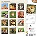 Pomeranians 2016 Square 12x12 (Multilingual Edition)