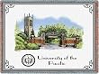 Univ of the Pacific Gates Throw - 70 x 54 Blanket/Throw - Pacific Tigers