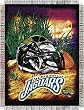 Jacksonville Jaguars Home Field Advantage Woven Tapestry Throw Blanket - 48x60