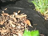 Produkt-Bild: Unkrautvlies / Mulchvlies, besonders stark, 1x25m