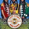 Easy Star's Lonely Hearts Dub Band