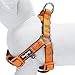 Blueberry Pet Step-in Harnesses 3M Reflective 3/4