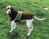 Rugby Style Handmade Wool Dog Sweater