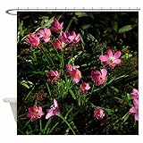 Shower Curtain Waterproof Polyester Fabric with Hooks for Home Decor (66x72inch) Dear Xie Morning Glory Red Design In