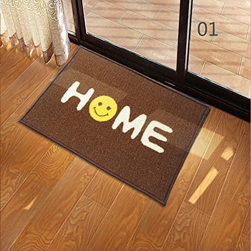 Anti-slip Door Mat Kitchen Floor Carpet Home Doormat,16-Inch by 24-Inch (01)