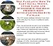 Book The Fantastic How To Earn Extra Money, Inner Game and eCommerce for High Protein Diet Supplements Biz 3 CD Package