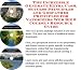 The Best How To Earn Extra Money, Marketing and Success Principles for Vaporizers Internet Businesses 3 CD Power Pack