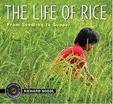The  Life of  Rice: From Seedling to Supper