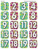 Teacher Created Resources Numbers 1-20 Stickers, Multi Color (5767)