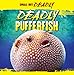 Deadly Pufferfish (Small But Deadly)