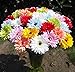 10 PCS Real Touch Latex Silk Artificial fake plastic Daisy Chrysanthemum Flowers Sun Chrysanthemum,Sunflower, Simulation Gerber, Dimorphotheca,Party Room home Decoration DIY Flower Bouquet (green)