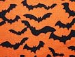 Moda Trick or Treat Bat Halloween Fabric Yard