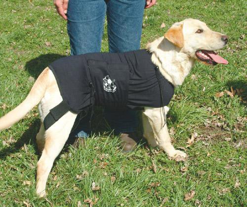 Anxiety Wrap for Large Dogs - Large