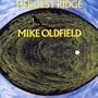 Hergest Ridge