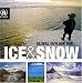 Global Outlook for Ice and Snow