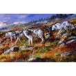 Wolves on the Move 1000pc Jigsaw Puzzle by Trevor Swanson