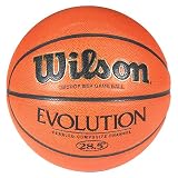 Wilson Evolution Indoor Composite 28.5 Intermediate Basketball