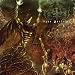 Unthrodden Paths [Explicit]