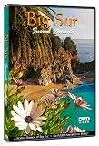 Big Sur: Surreel Moments