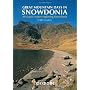 Great Mountain Days in Snowdonia: 40 Classic Route&hellip by Terry Marsh