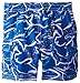 Osh Kosh Baby Boys' Locals Only Rashguard Swim Set